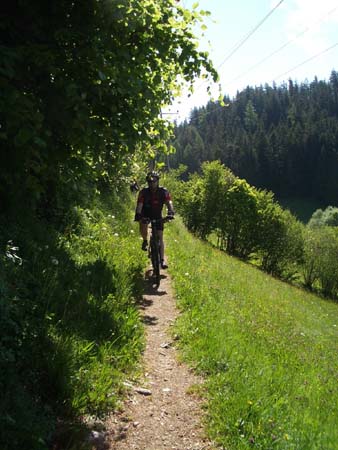 Chiemgau Mai 06 (005)