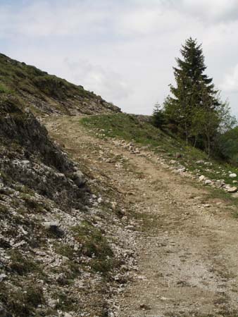 Chiemgau Mai 06 (009)