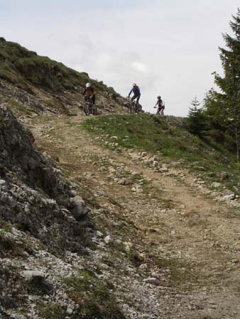 Chiemgau Mai 06 (011)