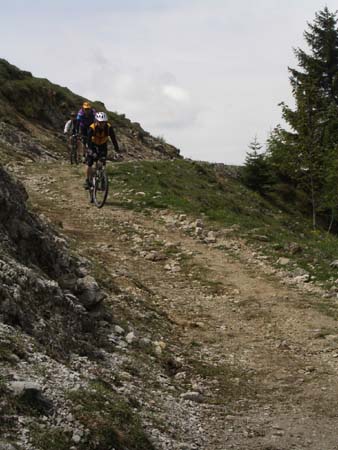 Chiemgau Mai 06 (012)