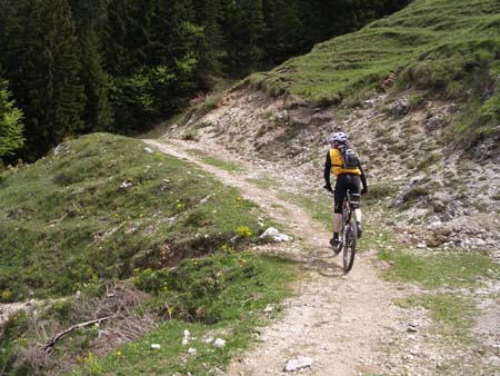 Chiemgau Mai 06 (013)