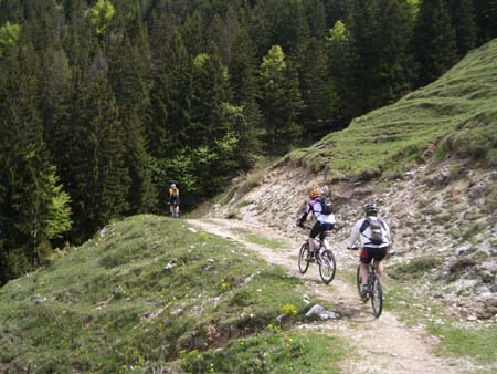 Chiemgau Mai 06 (014)