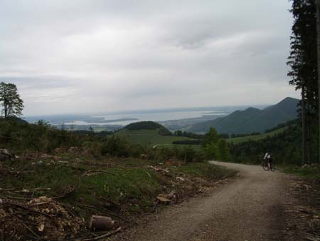Chiemgau Mai 06 (024)