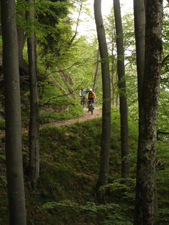 Chiemgau Mai 06 (026)