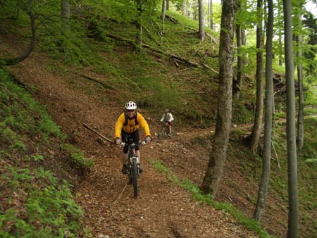 Chiemgau Mai 06 (027)