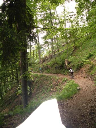 Chiemgau Mai 06 (028)