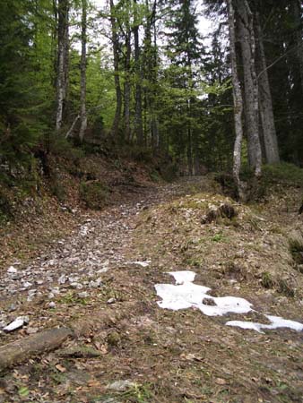 Chiemgau Mai 06 (035)