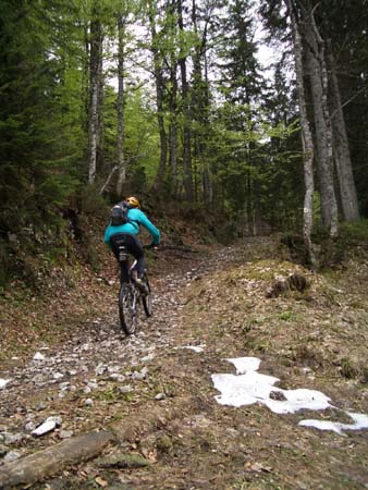 Chiemgau Mai 06 (036)