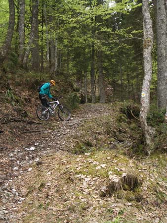 Chiemgau Mai 06 (037)