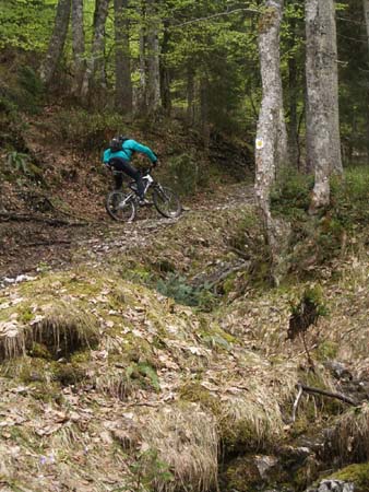 Chiemgau Mai 06 (038)