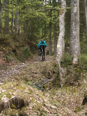 Chiemgau Mai 06 (040)