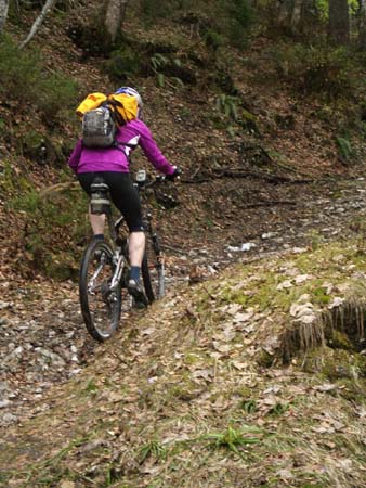 Chiemgau Mai 06 (041)