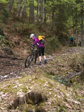 Chiemgau Mai 06 (042)