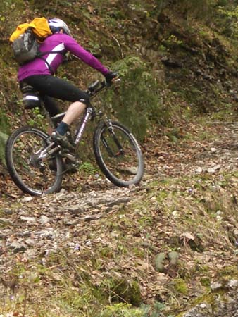 Chiemgau Mai 06 (043)