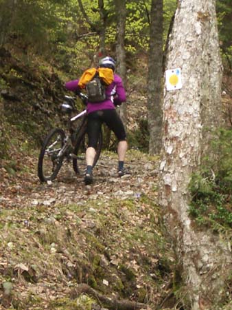 Chiemgau Mai 06 (044)