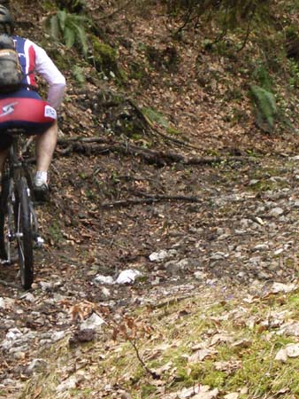 Chiemgau Mai 06 (046)