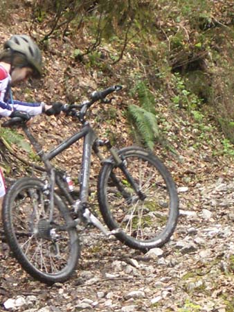 Chiemgau Mai 06 (047)