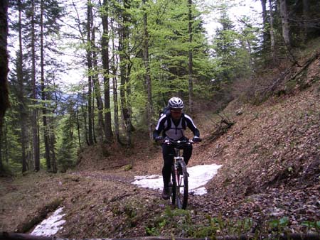 Chiemgau Mai 06 (048)