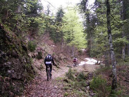 Chiemgau Mai 06 (049)