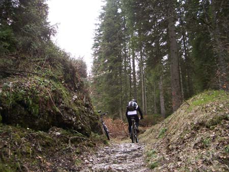 Chiemgau Mai 06 (050)