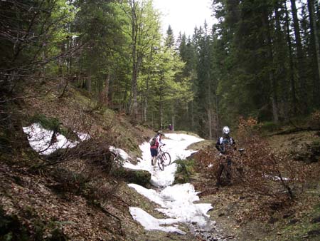 Chiemgau Mai 06 (051)