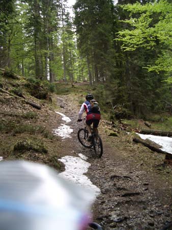 Chiemgau Mai 06 (052)