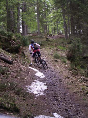 Chiemgau Mai 06 (053)