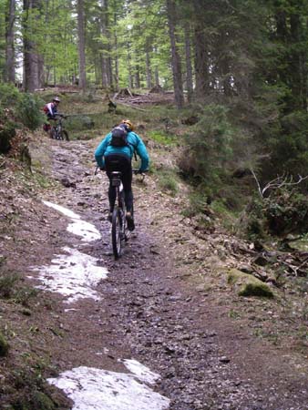 Chiemgau Mai 06 (054)