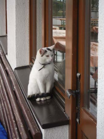 Chiemgau Mai 06 (062)