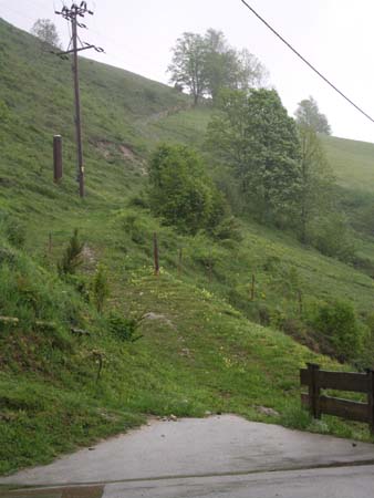 Chiemgau Mai 06 (064)