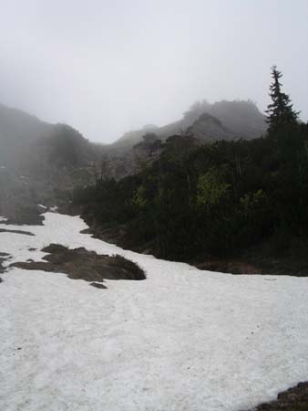 Chiemgau Mai 06 (074)