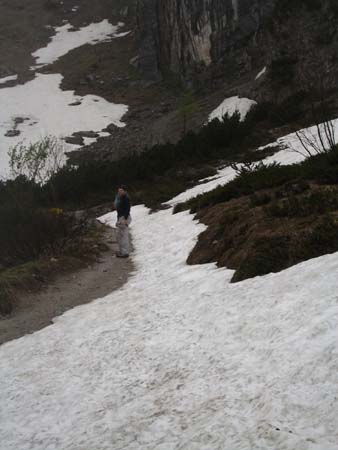 Chiemgau Mai 06 (076)