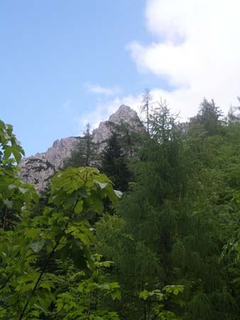 Chiemgau Mai 06 (092)