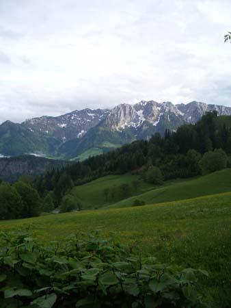 Chiemgau Mai 06 (093)